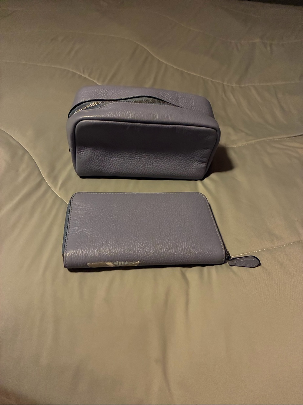 2021 Limited Edition Coach x Disney Wallet and Cosmetic Bag - Picture 2 of 10